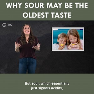 Why Sour May Be The Oldest Taste 😗 | Eons • PBS