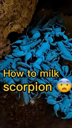 #shortvideo - YouTube