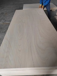 [Hot Item] Full Birch Plywood Best Quality Plywood 18mm