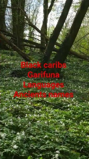 the language survived exile and war — Garífuna arawak african