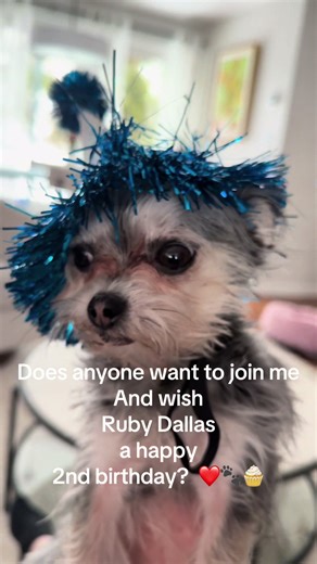 Celebrate Ruby's 2nd Birthday with Joy!