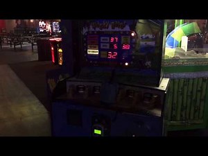 Wacky Gator Arcade Wack A Gator Video Game Review Play