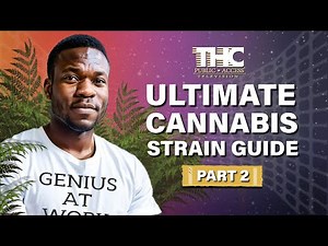 Cake, Cheese, Blueberry, White Widow and More: The Ultimate Guide to Cannabis Varieties, Pt.2!