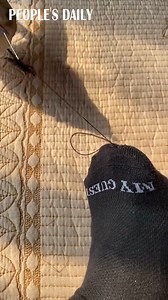 308K views · 6.9K reactions | Let me! Jixiang, meaning auspiciousness in Chinese, is an azure-winged magpie rescued in Anshan, northeast China’s Liaoning province. The recovering little one loves to help his rescuer sew socks. | People's Daily, China | Facebook