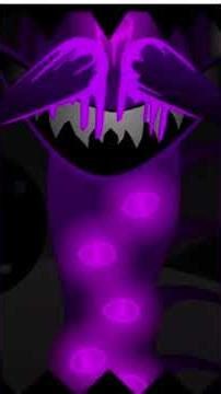 durple all definitive phase