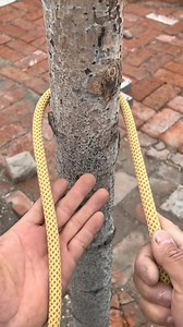 #knot #useful #DIY #rope #foryou 5 | Layla Hale