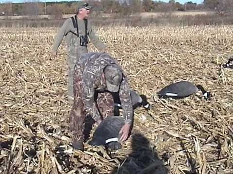 Waterfowling - Canada Goose Hunting Video
