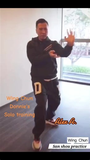 Donnie Yen Wing Chun Solo Training