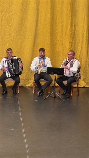 Videoclipuri postate de Tamara Schobel (@tamara.brain.programmer) cu Originalton - Tamara Schobel