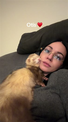Cuddles with Otis: Adorable Ferret Moments