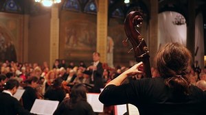 clip-1043269576-upright-bass-classical-concert-musicians-conductor ...