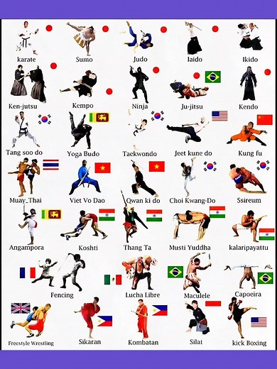 Kung Fu |Double Hook Swords| #kungfu #shaolin #swords #artesmarciais #shaolinkungfu #viral