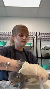 We’re flooded with puppies and orphaned young animals that desperately need help. Generous animal lovers like you allow us to provide the puppies with food, shelter, medical care, and adoption services. All donations now are being matched – you can help give twice as many animals in the Houston area a happy and safe life! | Houston SPCA