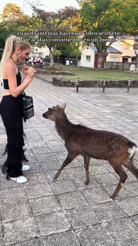 Tokyo siendo Tokyo: Un meme estético