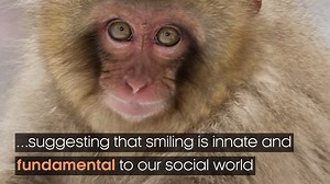 95K views · 1.5K reactions | For the first time, baby Japanese macaques have been seen spontaneously smiling. | BBC Earth | Facebook