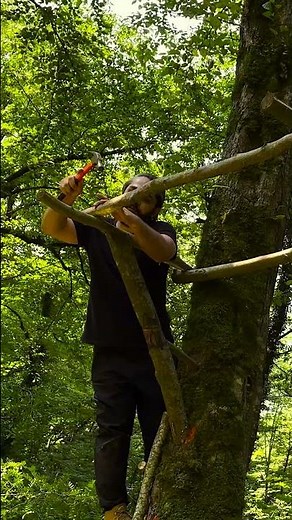 Building a SAFE And COZY Tree Hut At ALTITUDE #bushcraft #survival