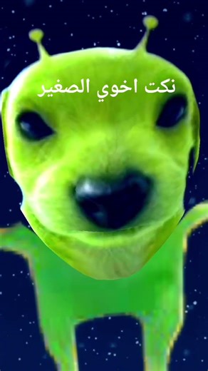 نكت اخوي الصغير بإختصار😂😂