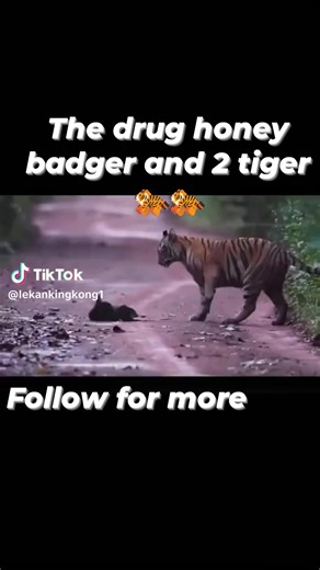 3.8K views · 337 reactions | #TopFans | Olawale Muritala Walex | Facebook