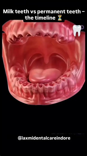 Laxmi Dental Care on Instagram: "Parents must know this! 🦷 Do you know when your baby’s first tooth erupts? 🦷✨ And at what age permanent teeth replace them? Let’s uncover the tooth eruption sequence – from milk teeth to permanent teeth, age by age! 👶➡️🧒➡️🧑 "Is your child’s tooth eruption on track?" Every parent & student should save this 🔖 (Teeth eruption chart, deciduous teeth, permanent teeth, milk teeth eruption, tooth eruption age, kids dentistry, pediatric dentist, dental care tips, o