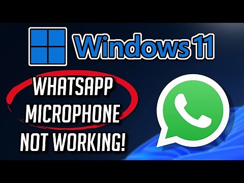 Whatsapp Microphone Not Working Windows 11/10 FIX