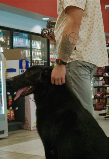 Family Protection Dog Heeling Off-Leash Through Gas Station