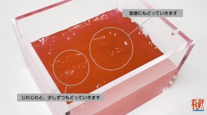 ＼✍️ワークシート付／ Q. 巨大な南極氷床の変化を調べる方法は❓ 地球をやわらかいスライムに見立てた、自宅で簡単にできる実験で、地球と氷床の変化を調べる方法を考えてみよう🧑‍🔬 ▼特集「掘る！」#ウェブ極 https://kyoku.nipr.ac.jp/special/1306 | 国立極地研究所