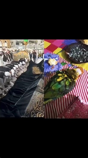 #music #hajjeakbar #song #harmainlive #madina #shortvideo #mecca #hajjlive #makkah #viralvideo