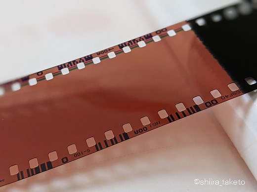 ネガフィルムをスマホで見る方法！スマホ無料アプリ「KODAK Mobile Film Scanner」によるスキャンとは？