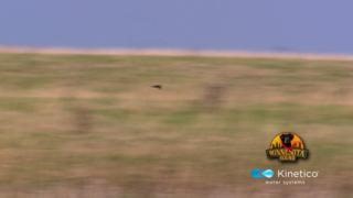 On this week's episode, we go in search of Minnesota's disappearing songbirds. Plus, we take a walk in the park on one of Minnesota's most historic sights! Tune in tonight at 10:35 PM on KARE 11. Presented by: | Kinetico Water Systems | | Minnesota Bound