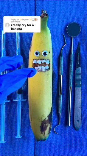 Fruit Surgery Videos and ASMR: Mr. and Mrs. Kiwi Operations