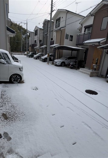 Explore Neo Japan Arena: A Cultural Experience