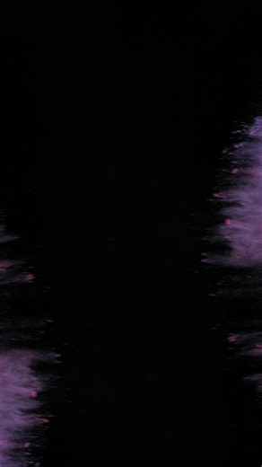 Explosion of colored powders in a mirrored shot - Free Stock Video