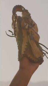 Dave Parker | The 6 Tool Right Fielder