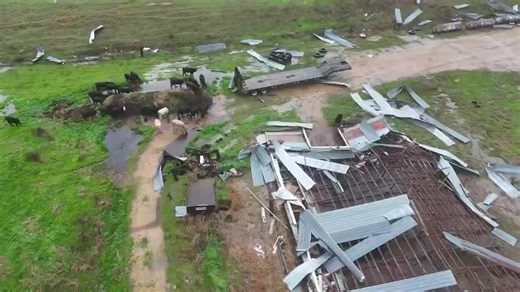 Intense videos show EF-2 tornado destroying chicken houses, aerial shots of farm destruction in Gordo, Alabama