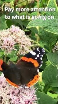 I looked into Biodynamics so you don’t have to. #gardening #biodynamic #learning