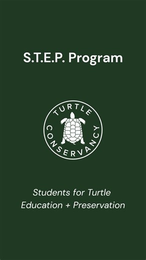 Our education program recently wrapped up our pilot program for the “Students for Turtle Education and Preservation” (S.T.E.P.) program with our local public school, Nordhoff! 🌟 In the face of accelerating climate change, connecting students with their local environments is more important than ever! During S.T.E.P., students focused on the Southwestern Pond Turtle (Actinemys pallida) through classroom lessons, visits to our Conservation Center, and an immersive field experience in the Sesepe Wi