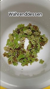 Schreibt mir eure Meinung ❤️