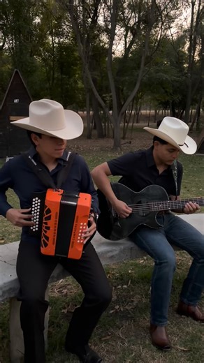 Julian Chagoyán on Instagram: "Sin ti . #regionalmexicano #fyp #edicionespecial #acordeon #bajoquinto"