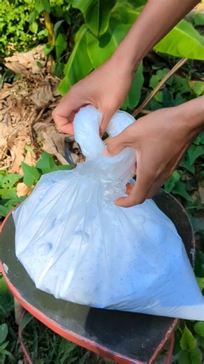 Best Rope Technical For Plastic Bag knot.