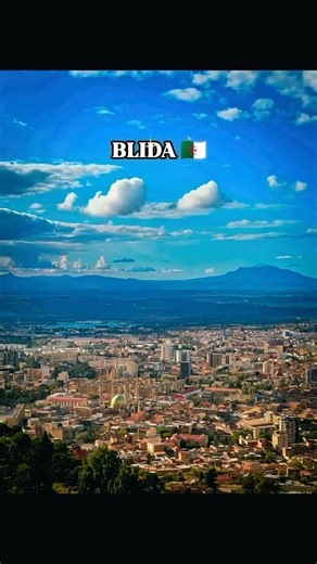 blida la ville des roses 🇩🇿 #travel #travelshorts
