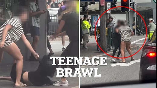 Shocking violent brawl in Sydney beachside suburb