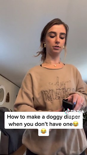 How to Make a Dog Diaper Using Household Items