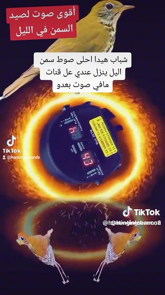 hunting in Lebanon على TikTok