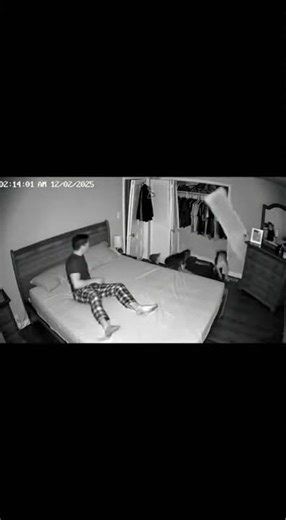 Husky and Cat Destroy Bedroom in 10 Seconds