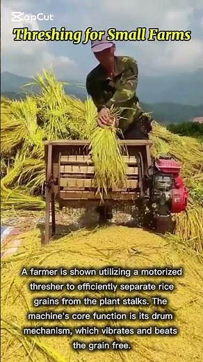 ​Small-Scale Rice Threshing Machine in Action