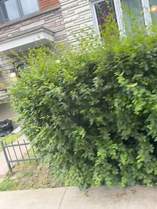 Patrick Kearney on Reels | Facebook