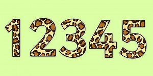 Leopard Pattern Display Numbers (Small)