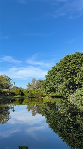 Blue Stallion Farm on Reels | Facebook