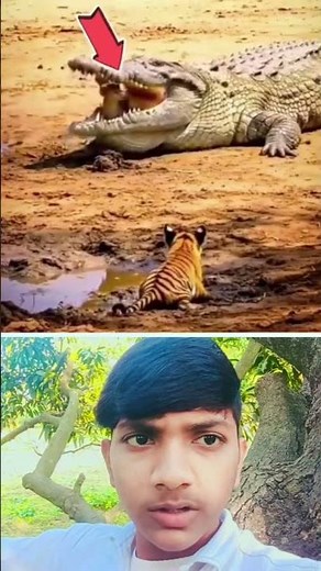 बिस्बास #na#kare