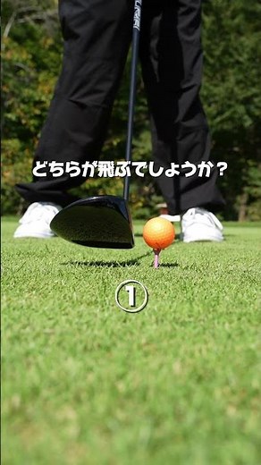 どちらが飛ぶでしょうか？